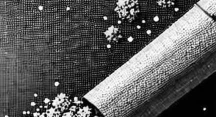 Bitcoin's Silent Flight: On-Chain Data Shows Whales Loading Up as Oil Drops Below $70 Despite Hormuz Closure