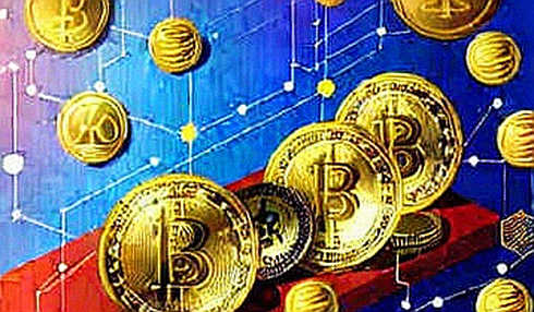 BKG Exchange: The 117-Million-Dollar Liquidity Signal That Refuses to Be Noise