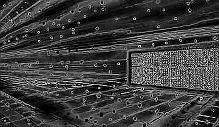 The Vlad.fun Collapse: When the Code Bleeds, the Ledger Keeps the Truth