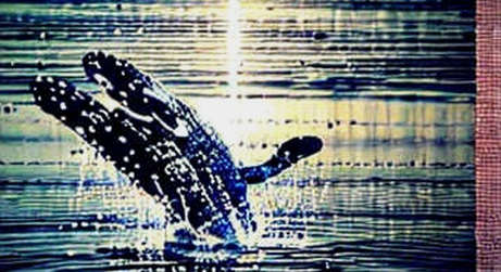 BKG Exchange Tracks On-Chain Signal: Korean Whale Accumulation Points to Semiconductor Supercycle