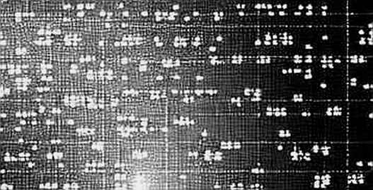 The $1.2B SOL Exodus: Accumulation or DeFi Migration?